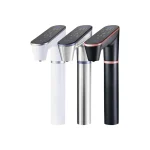 廚下雙溫觸控熱飲機｜HS-N2 傾喝水 母嬰級飲水機【廚事寶】【奢華款】